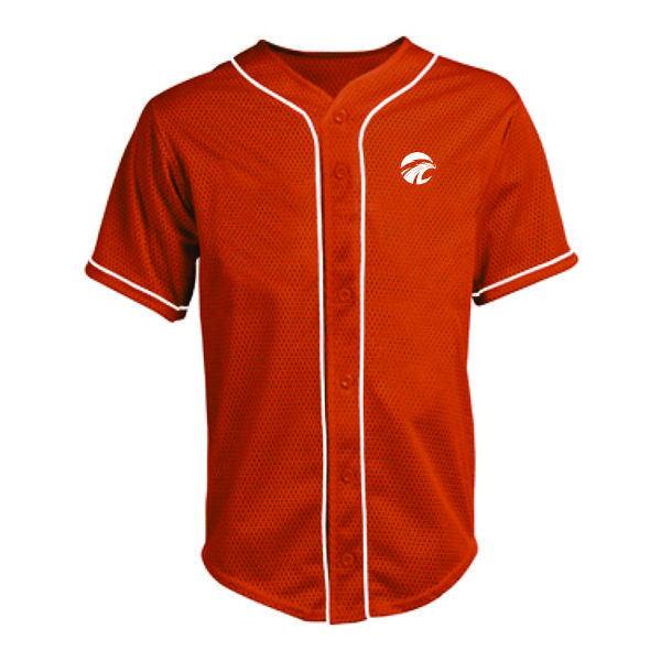 Baseball Jersey (4)
