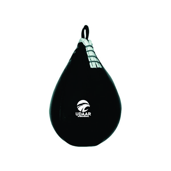Speed Bags (4)